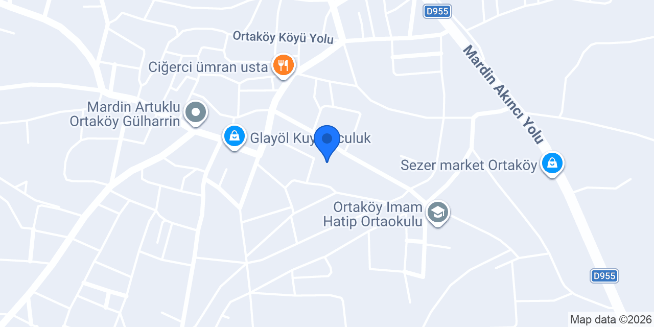 ALTINYURT ULUSLARARASI TAŞIMACILIK konumu