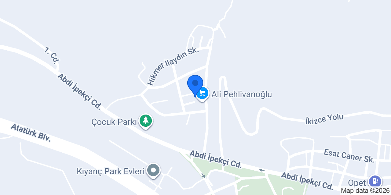 Modül Elektrik ve Elektronik konumu