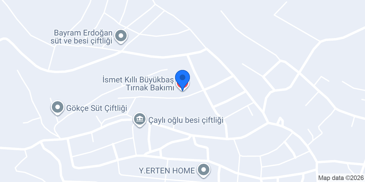 İsmet Kıllı Büyükbaş Tırnak Bakımı konumu