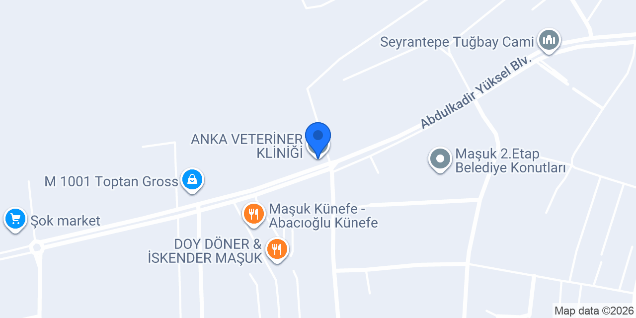 ANKA VETERİNER KLİNİĞİ konumu