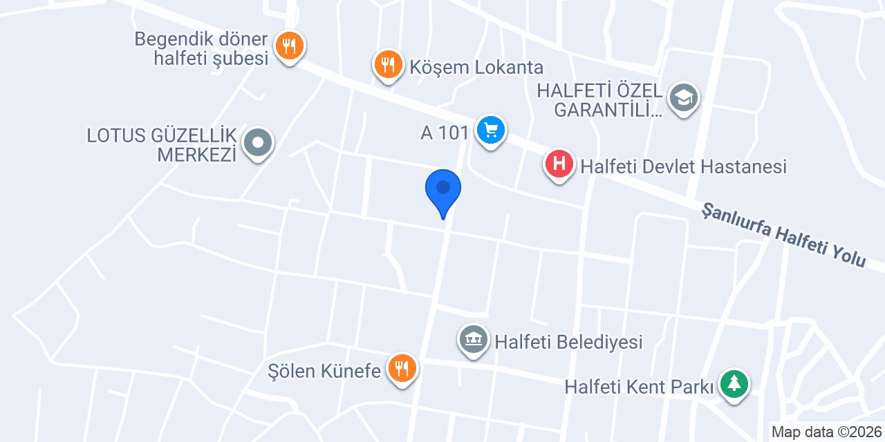 Aslan gurme mersin tantuni konumu