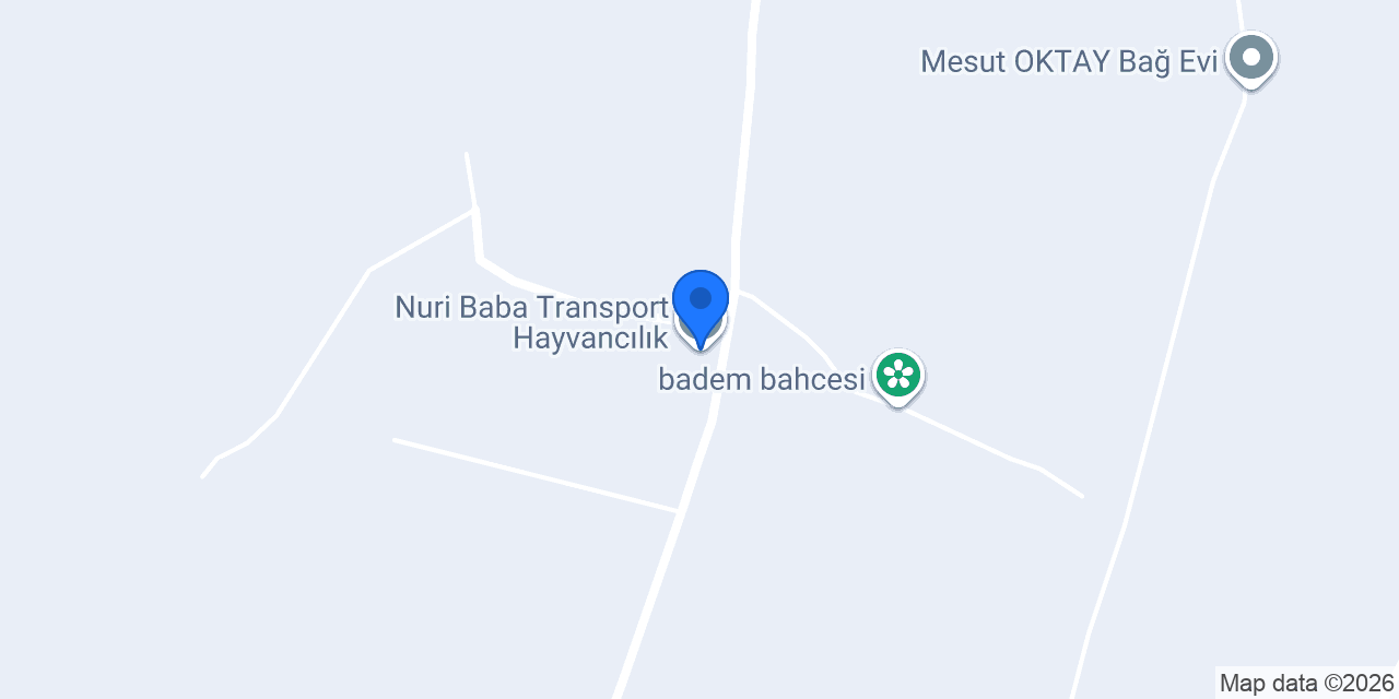 Nuri Baba Transport Hayvancılık konumu