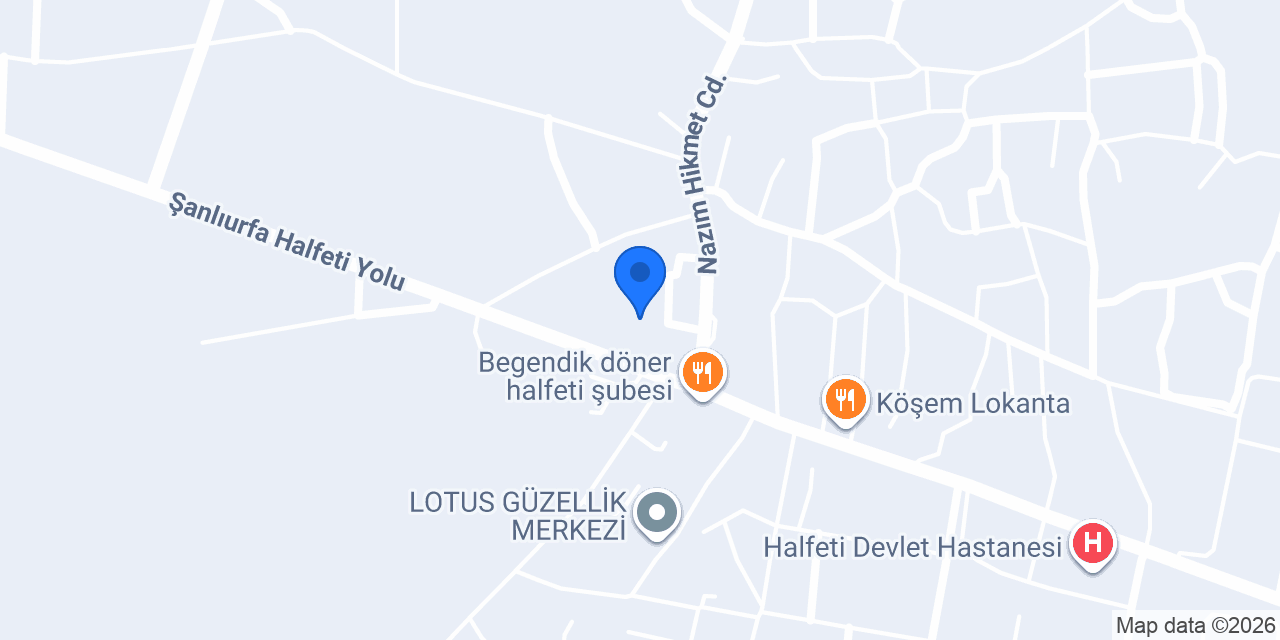 kaplanvizedanismanlikdilkursuhalfeti konumu
