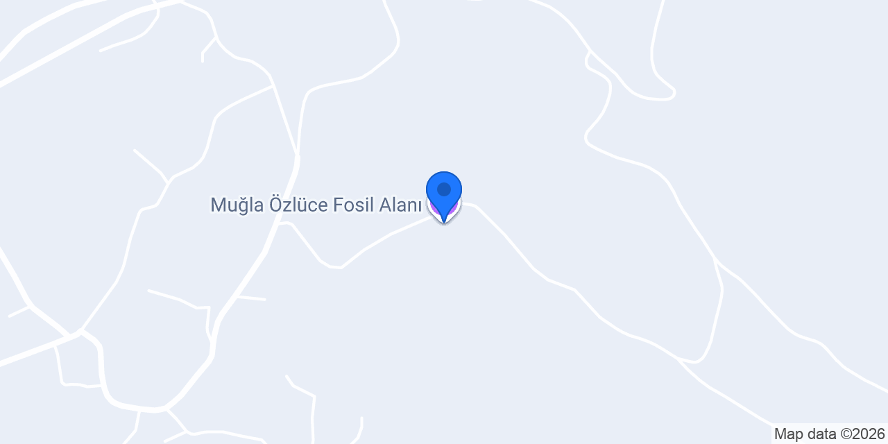 Muğla Özlüce Fosil Alanı konumu