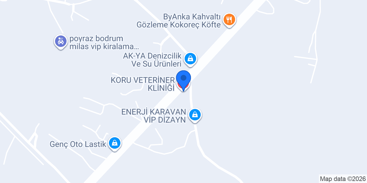 KORU VETERİNER KLİNİĞİ konumu
