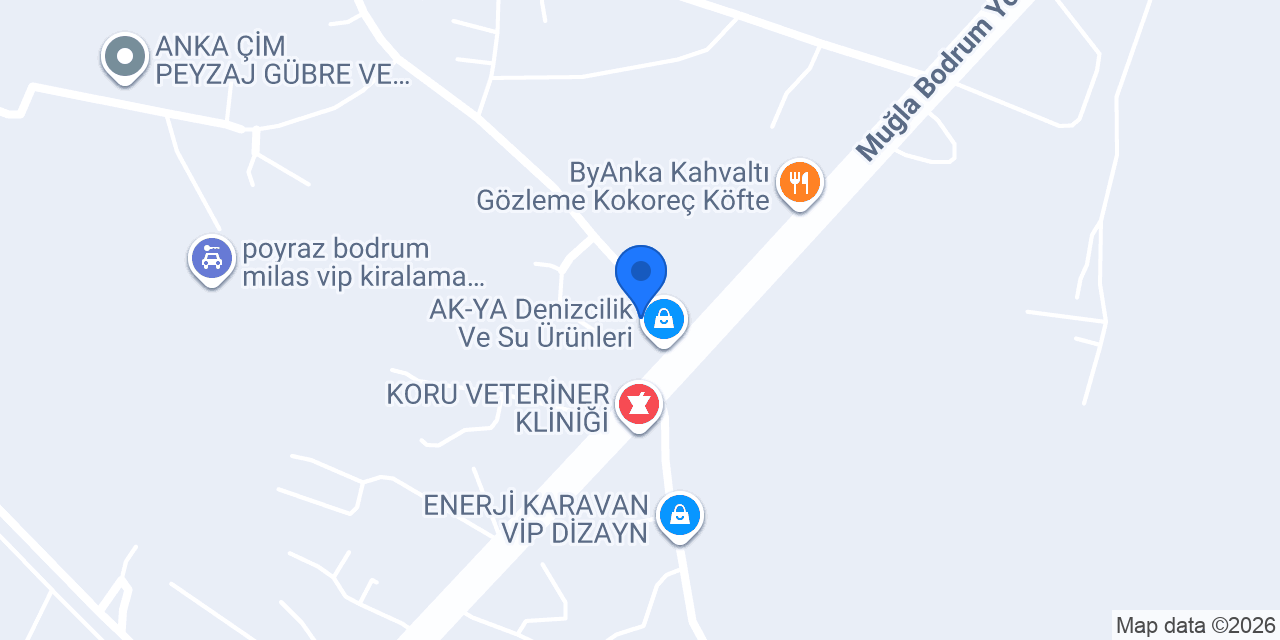 MİLAS EFES PİLSEN BAYİİ - DİNO GIDA konumu