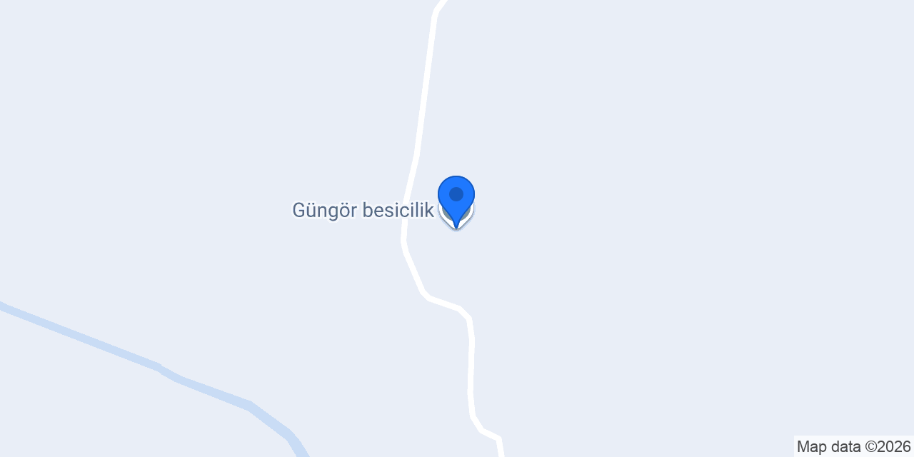 Güngör besicilik konumu