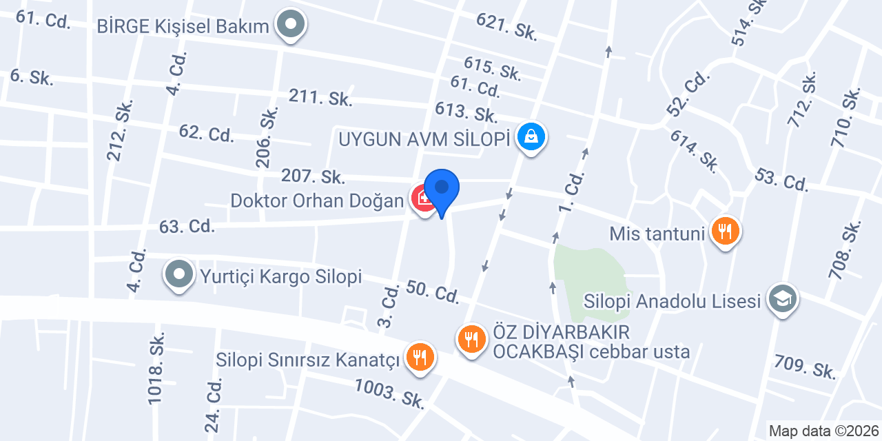 Silopi Dinamik eğitim kursu konumu