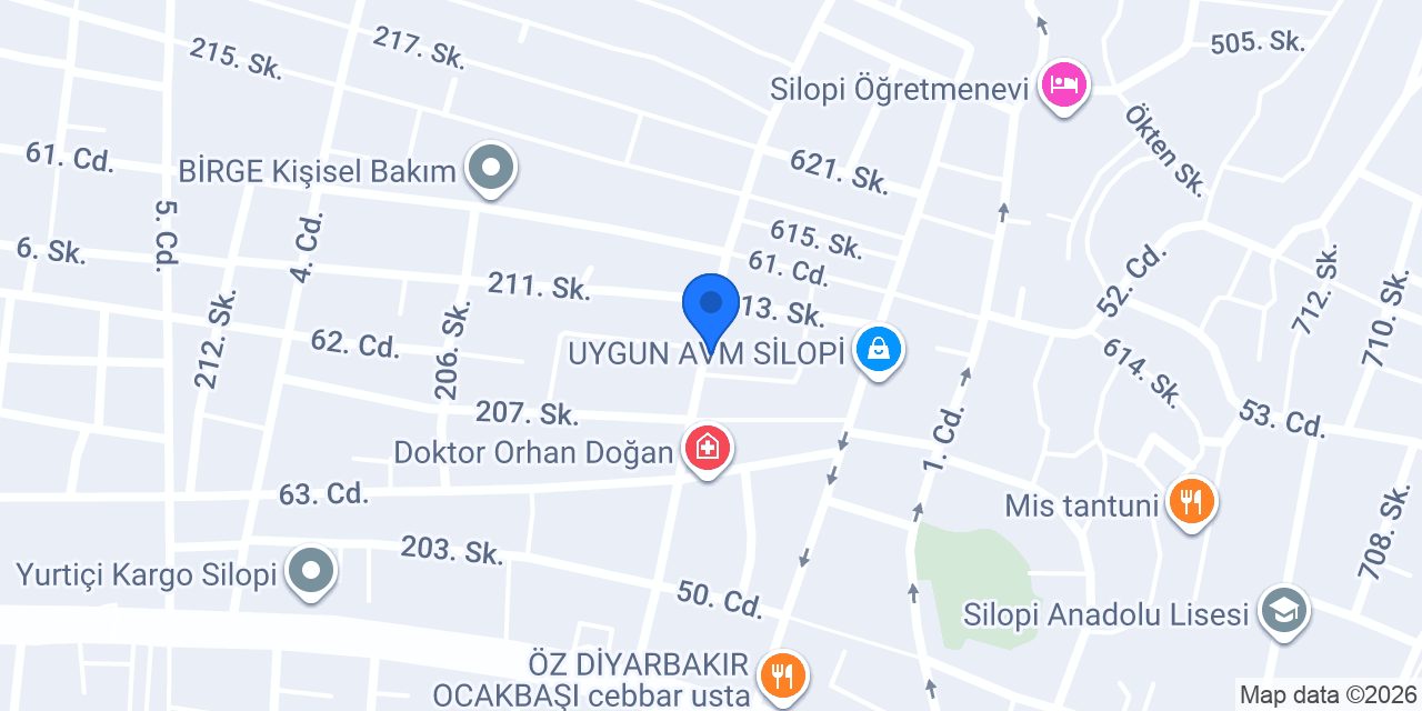 Silopi Diyarbakır Servisi konumu