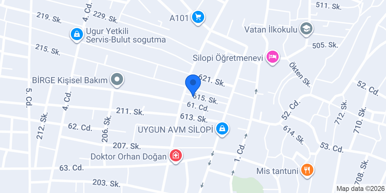 Tamara bayan terzi konumu
