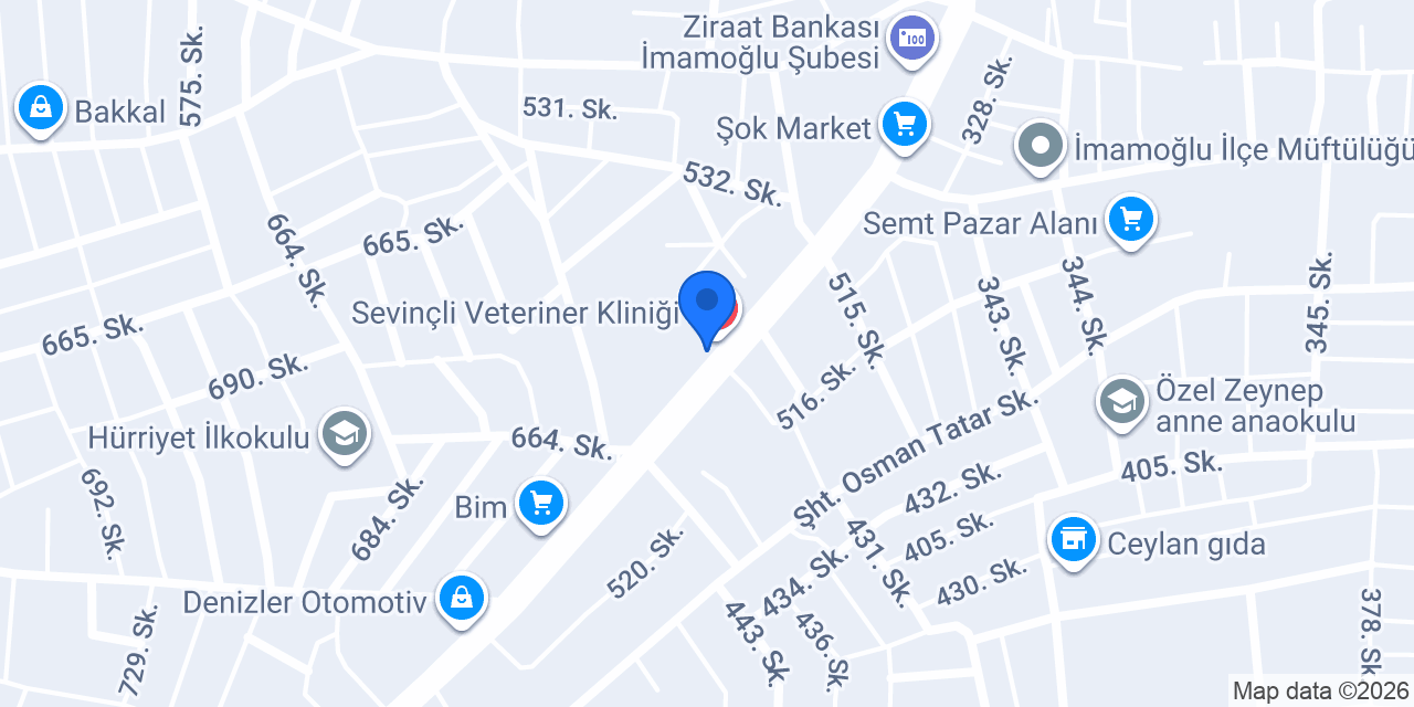 Akçimen Oto Lastik konumu