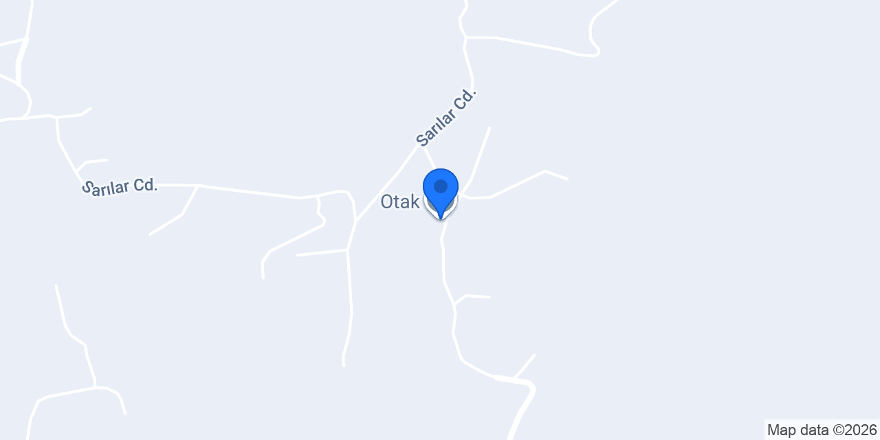 Otak konumu