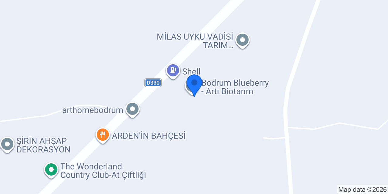 Bodrum Blue berry konumu