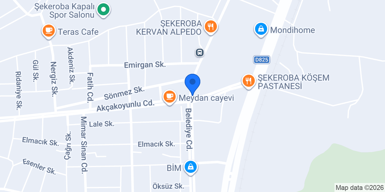 Efe pro teknik konumu