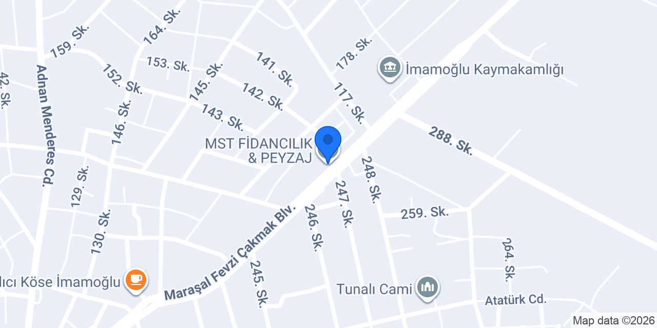 MST FİDANCILIK & PEYZAJ konumu