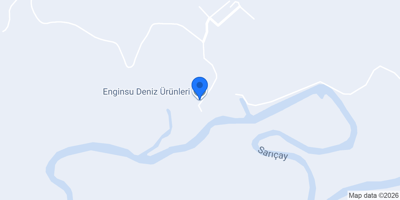 Enginsu Deniz Ürünleri konumu