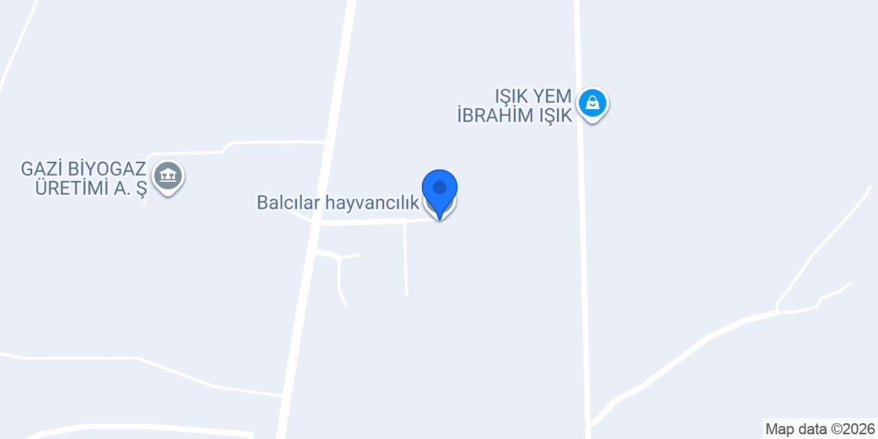 Balcılar hayvancılık konumu