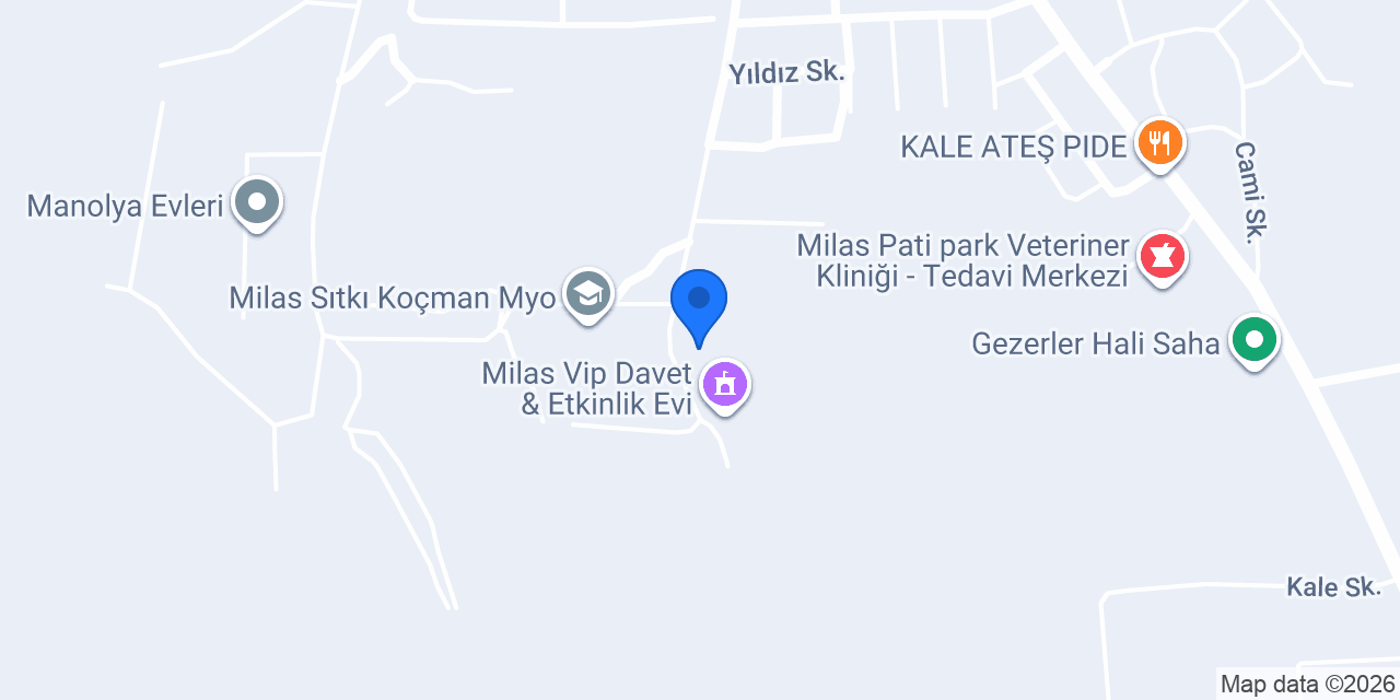 MG çekirdek kafe konumu