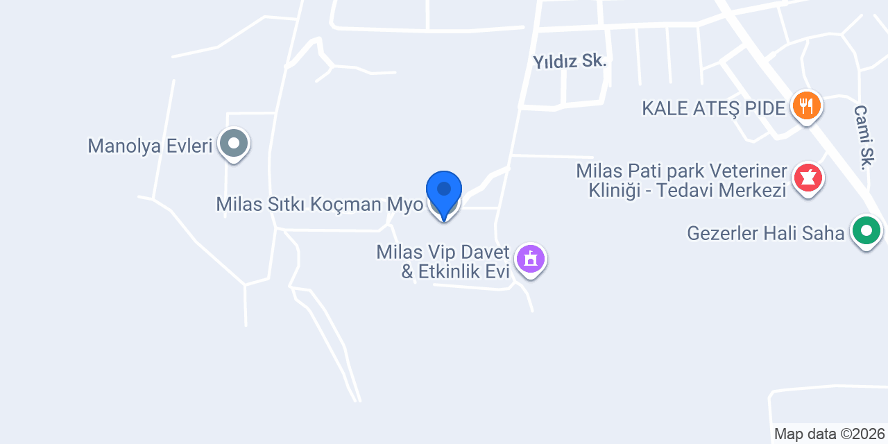 Milas Sıtkı Koçman Myo konumu