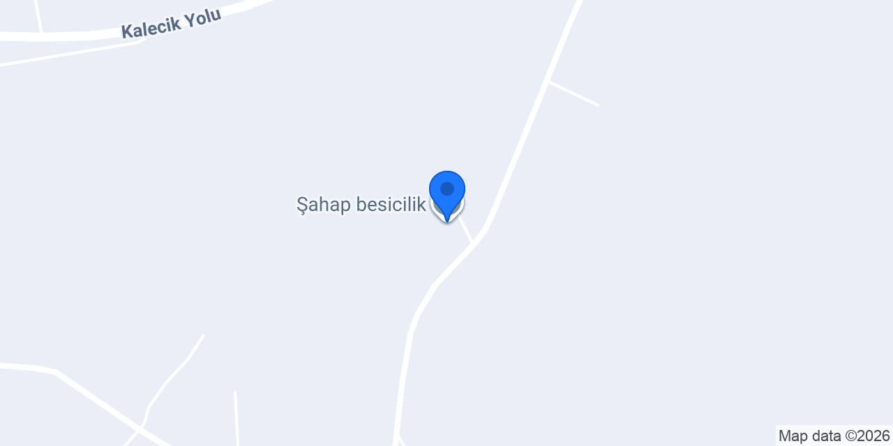 Şahap besicilik konumu