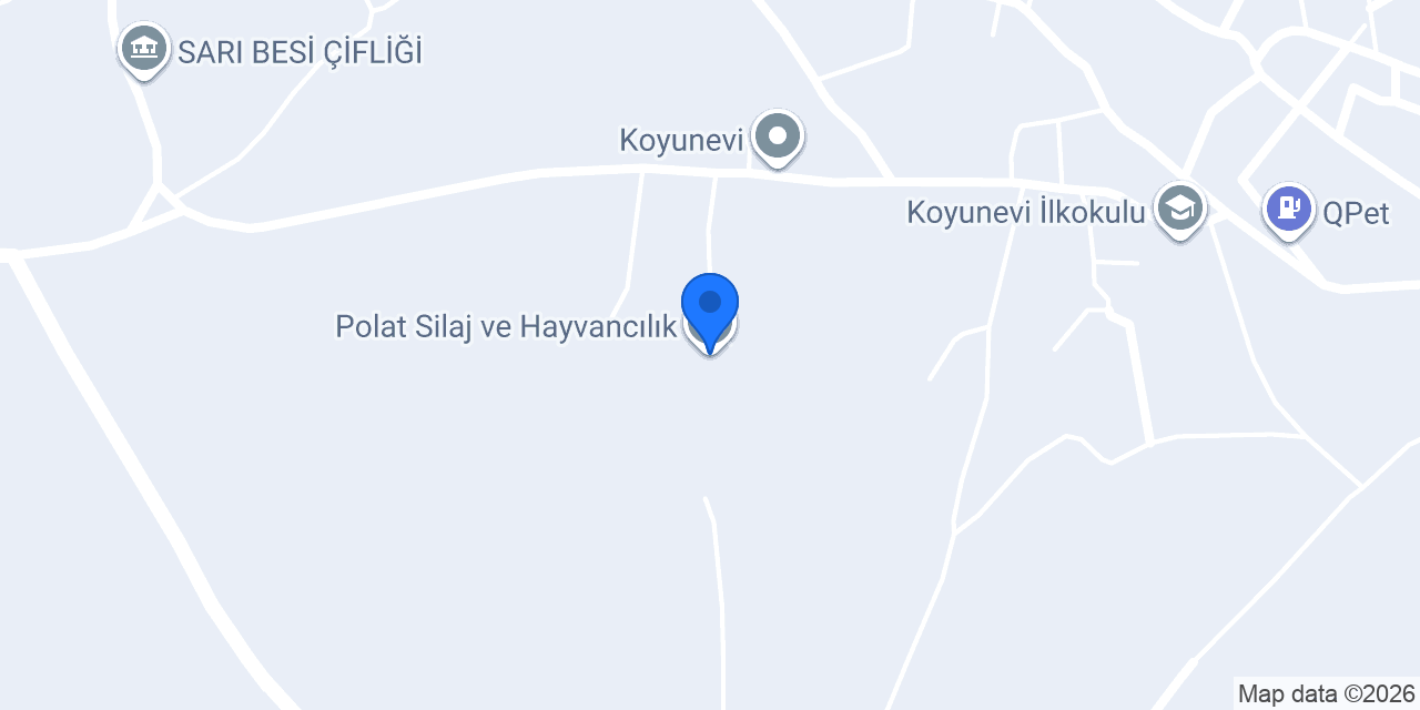 Polat Silaj ve Hayvancılık konumu