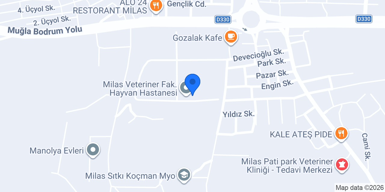 Idealworld Aslı Cuss konumu