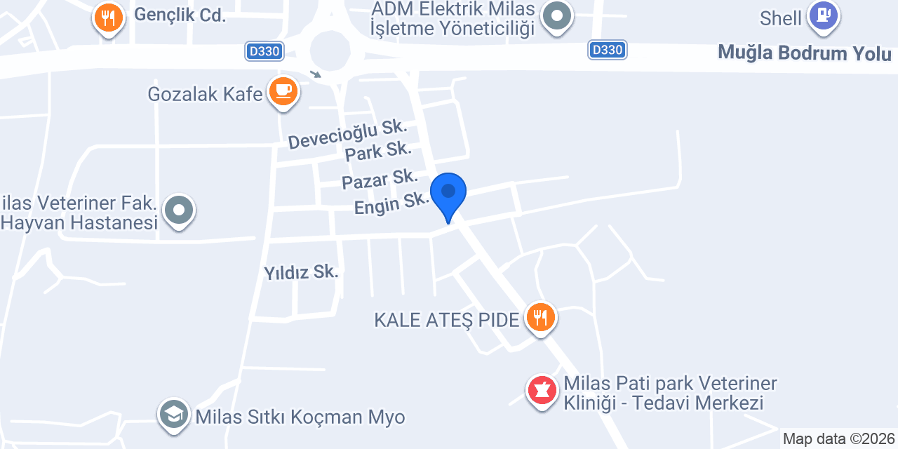 Jeep Bodrum Yön Otomotiv konumu