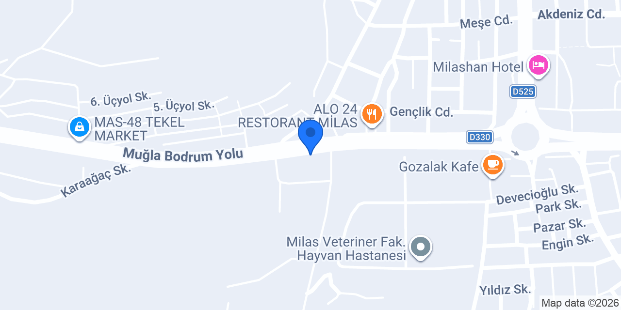 Mavi Oto Milas Ford Özel Servis konumu
