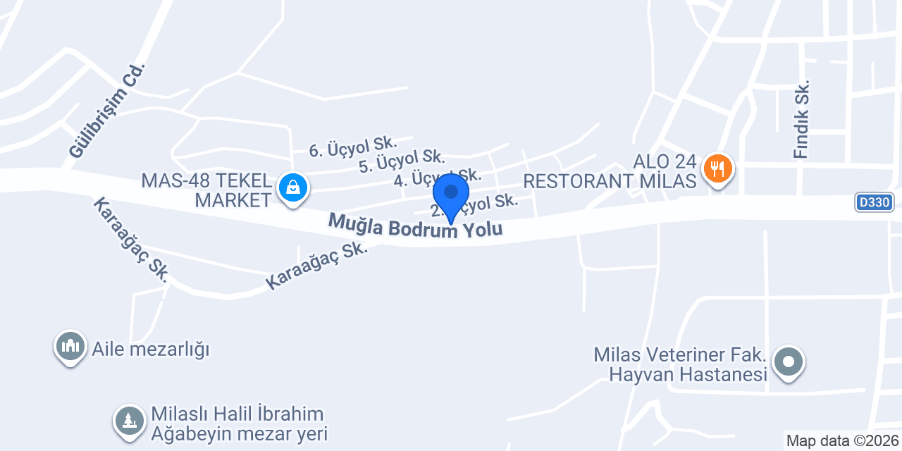 Bodrum sineklik konumu