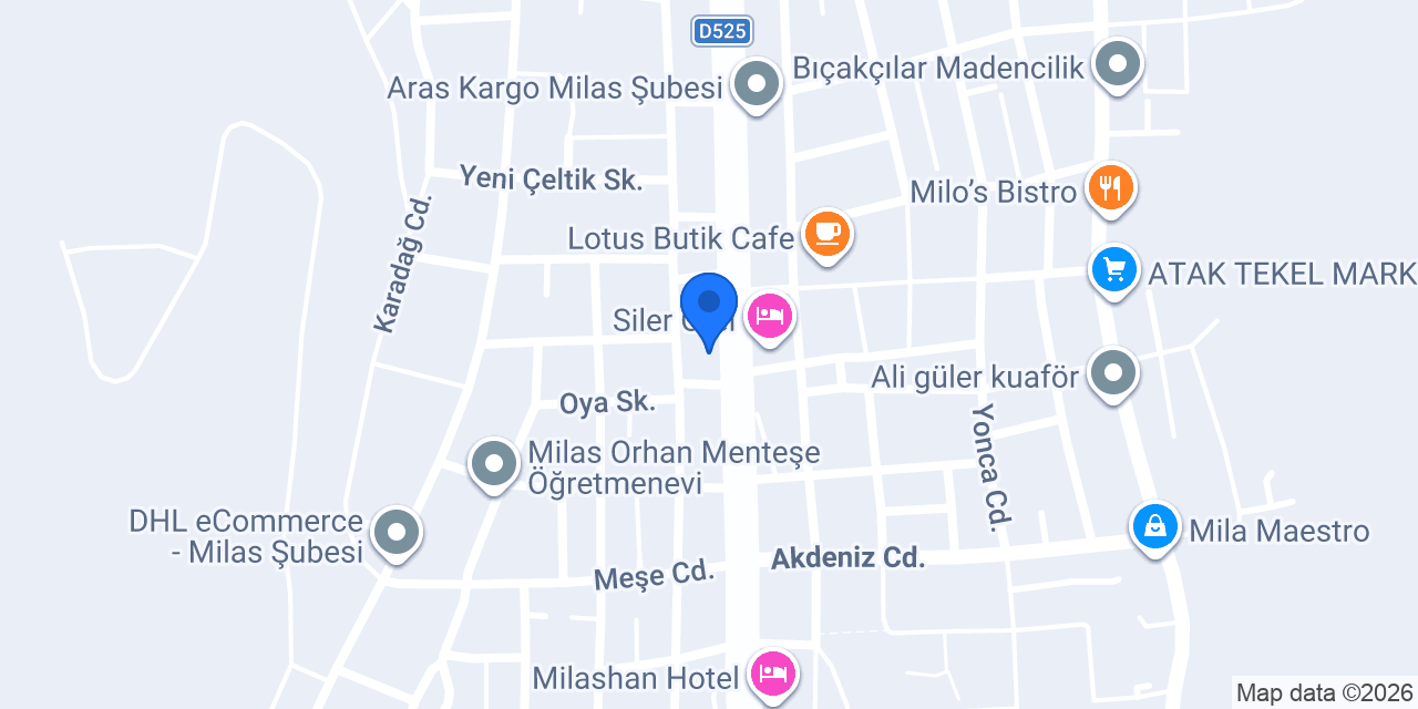 Özel Milas Güvenli Sürücü Kursu konumu