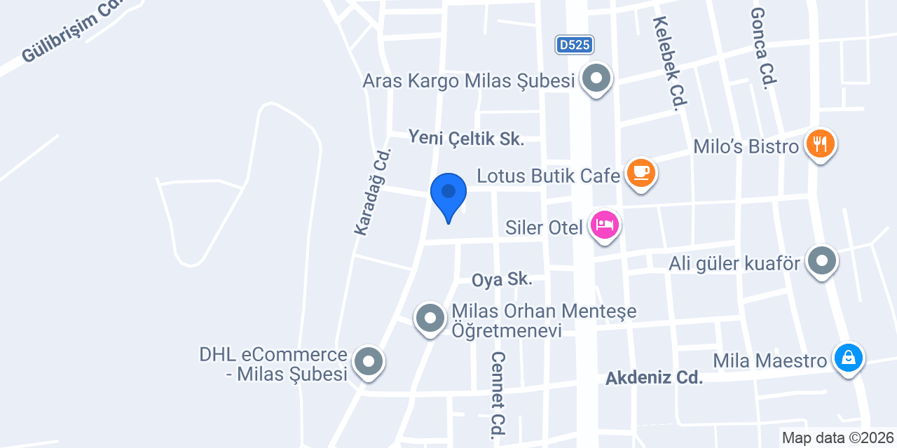 Yıldıran gıda Sakıpağa Milas bayii konumu