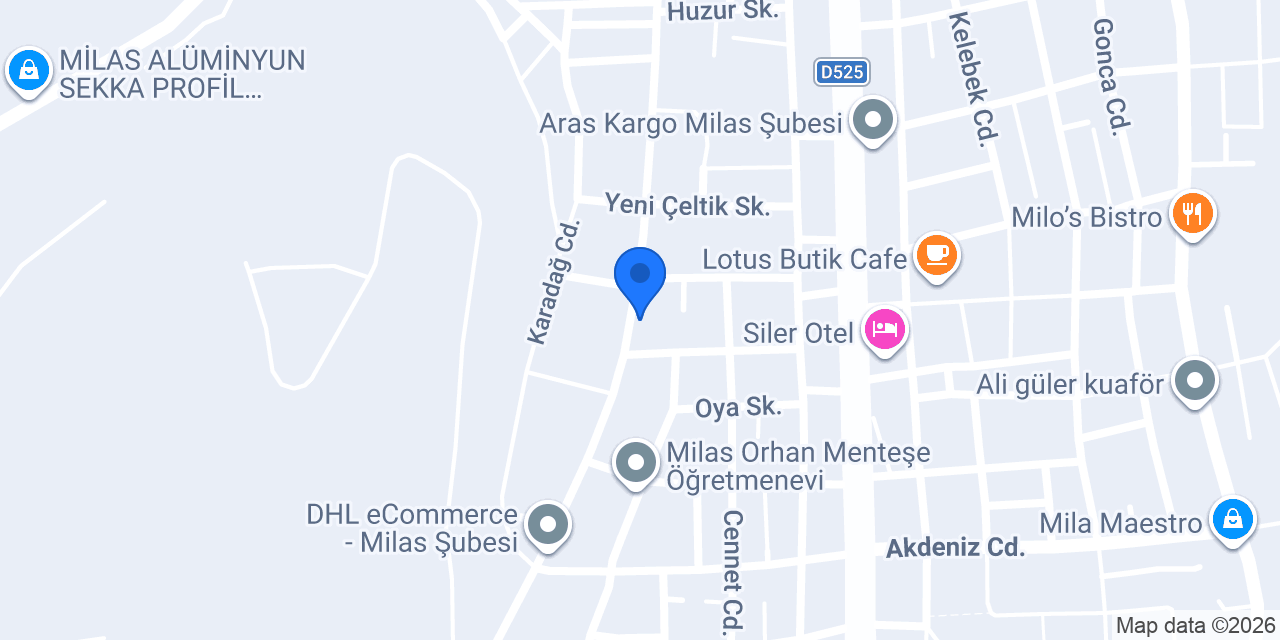 Selbes Motor konumu