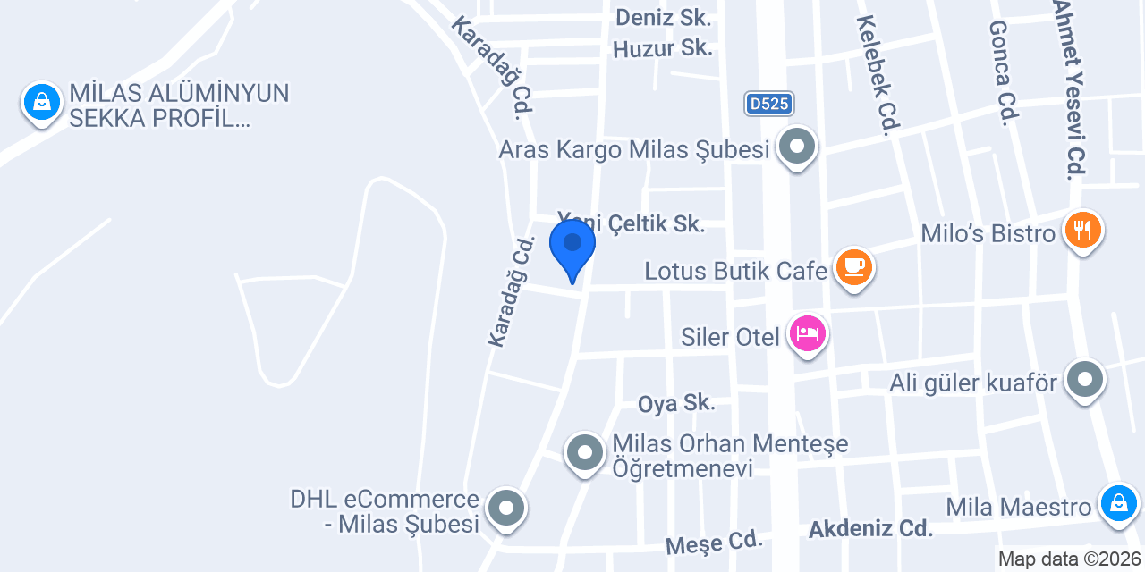 MİLAS HONDA ÖZEL SERVİS konumu