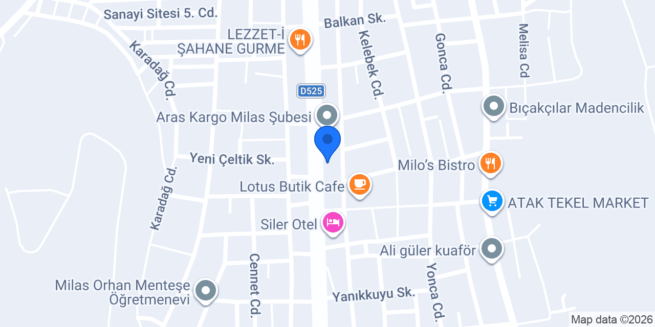 Milas Otomotiv konumu