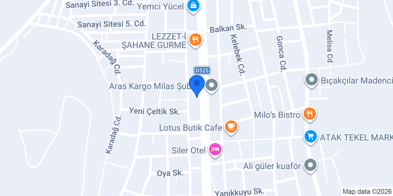 Asiay Rent A Car konumu