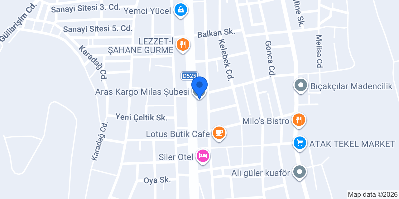 Aras Kargo Milas Şubesi konumu