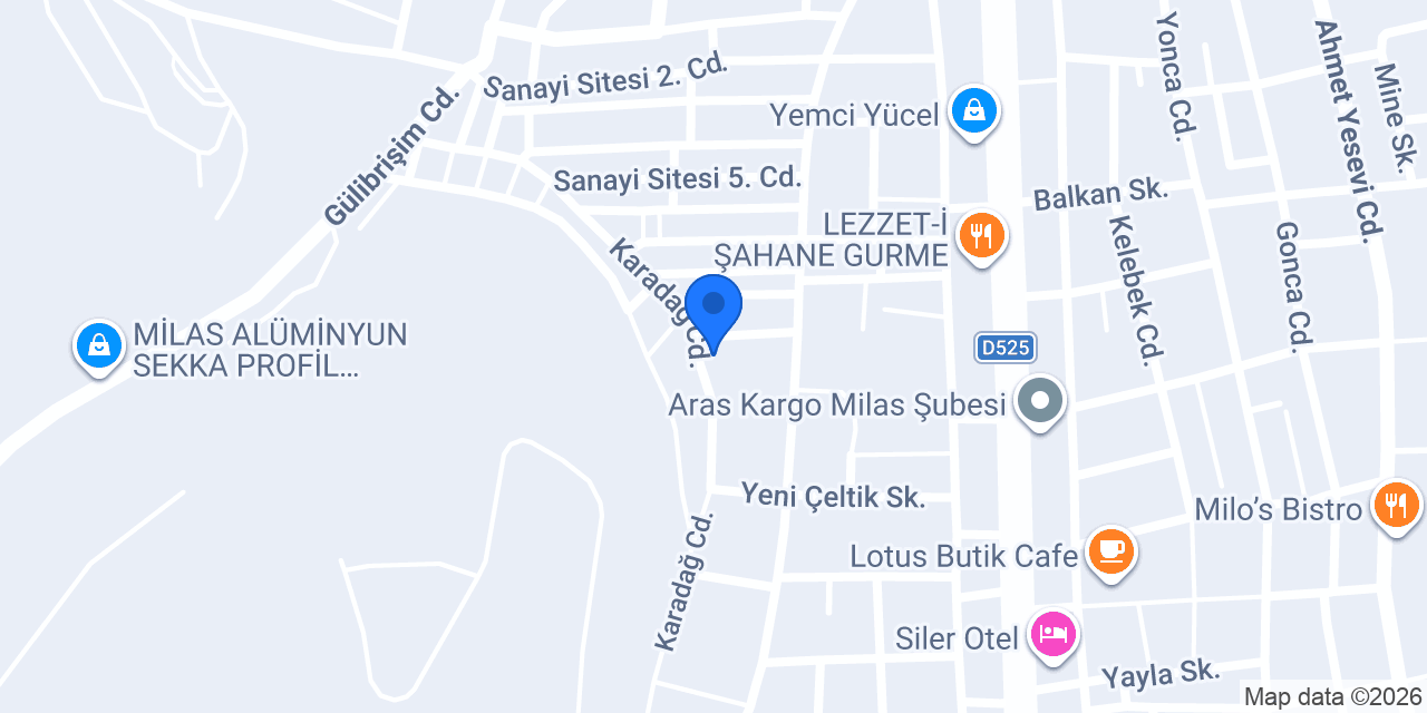 Doktor Ford Özel Otomotiv Servis konumu