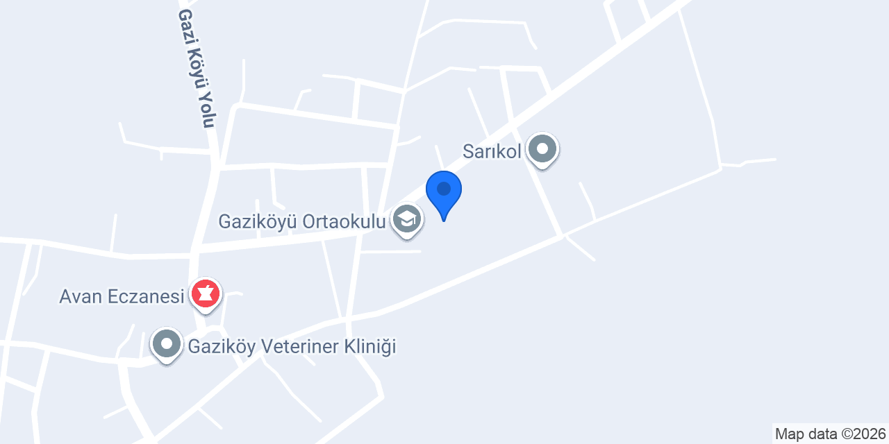 Gaziköy Çok Programlı Anadolu Lisesi konumu