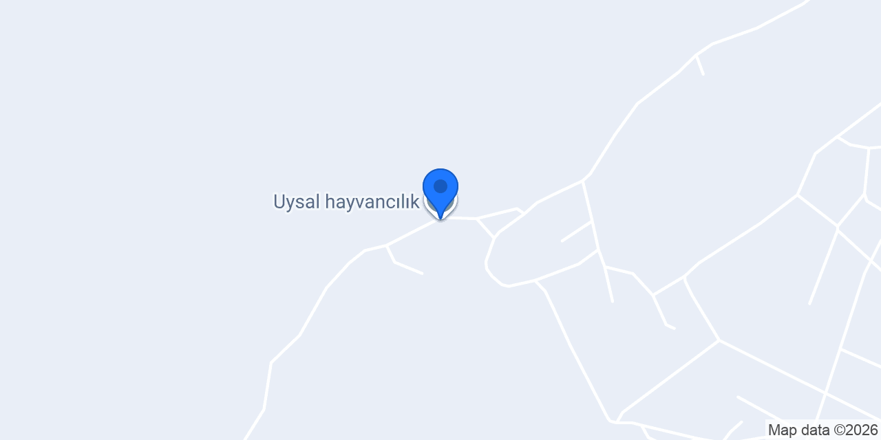 Uysal hayvancılık konumu