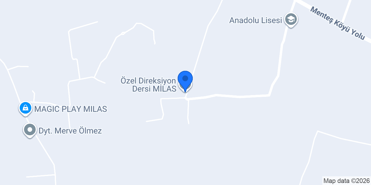 Özel Direksiyon Dersi MİLAS konumu
