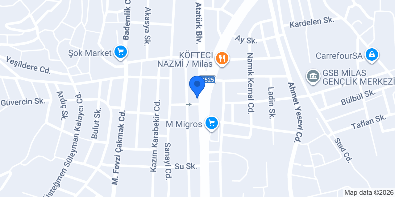 Ege Rent A Car konumu