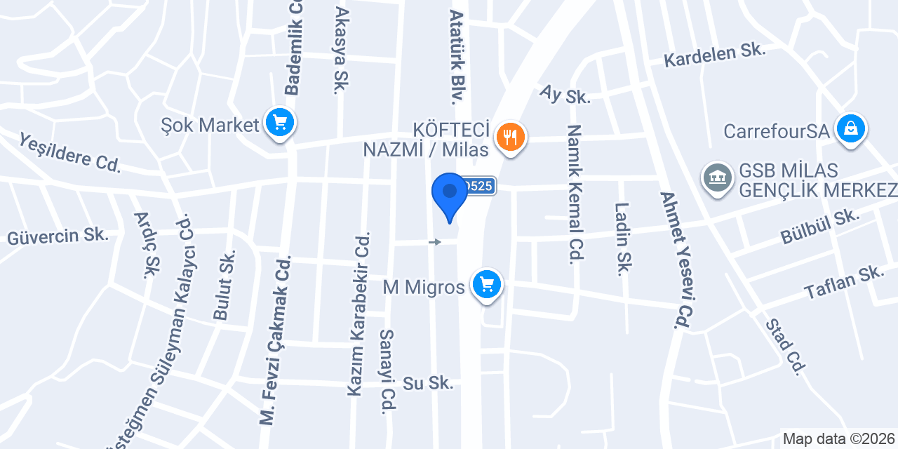 Realty World Erkin milas konumu