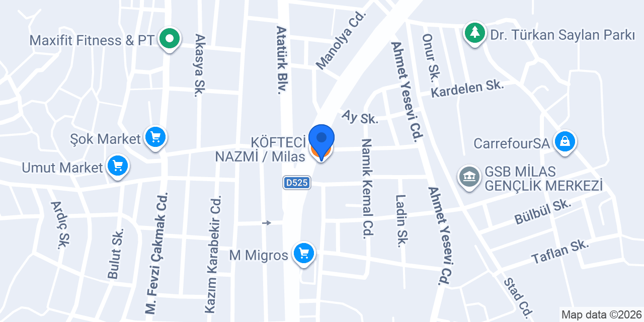 Aldırmaz otomotiv konumu