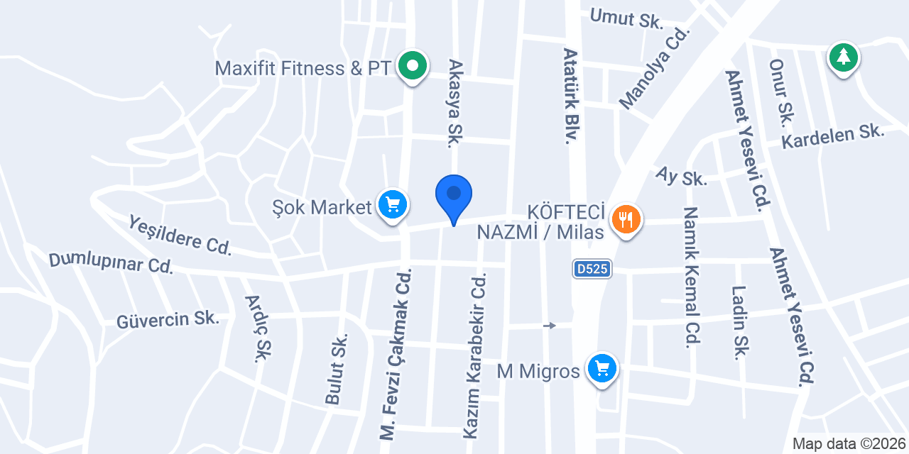 AGT KURYE MİLAS ACENTESİ konumu