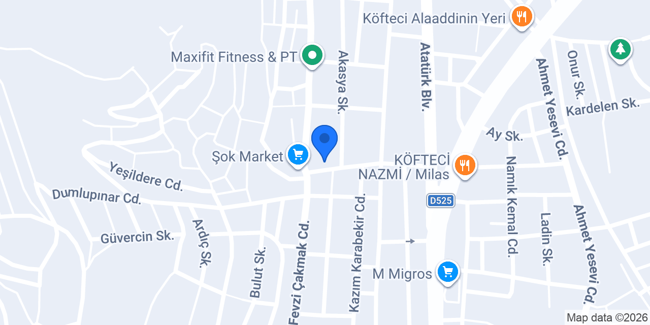 Milas Kristal Sigorta konumu