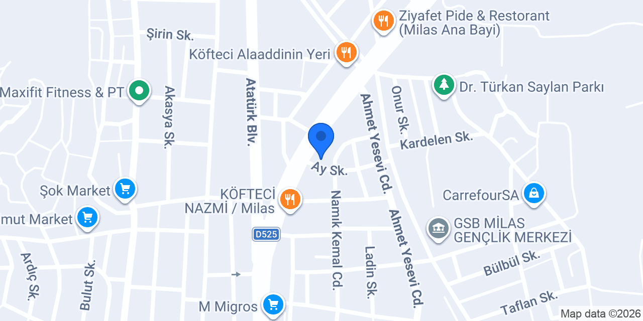 Rüzgar Elektrik konumu