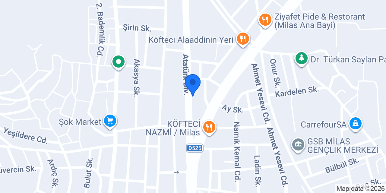 Ada Akademi konumu
