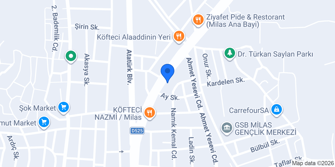 ÖZEL OTOMOTİV konumu