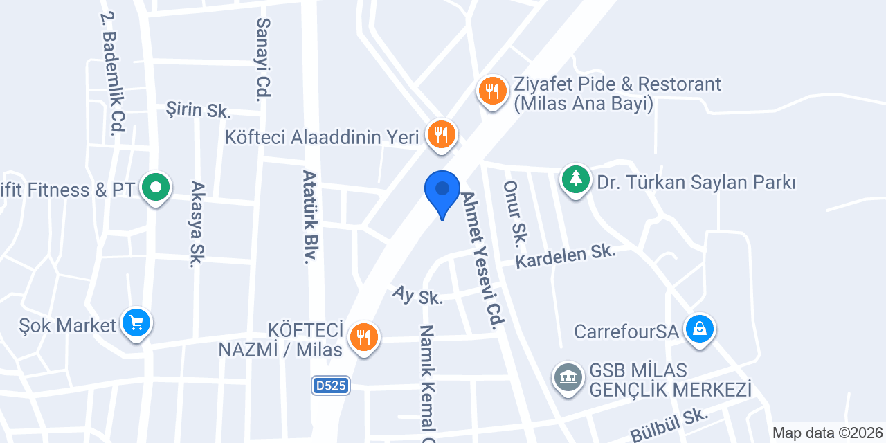 Özel Vitamin Anaokulu konumu
