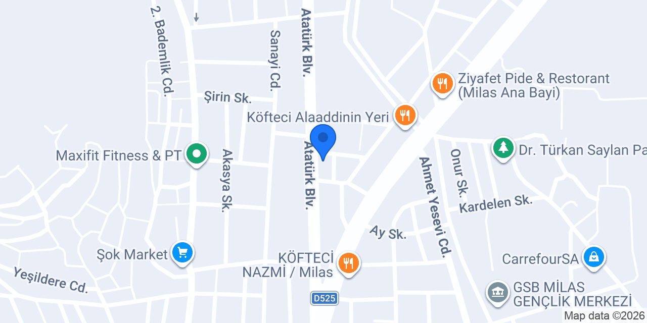 MİLAS ONE BUTİK APART OTEL konumu